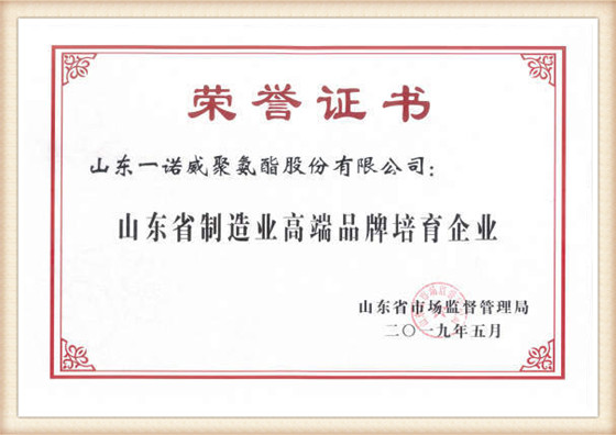 8.Shandong Province Manufacturing High end Brand Cultivation Enterprise